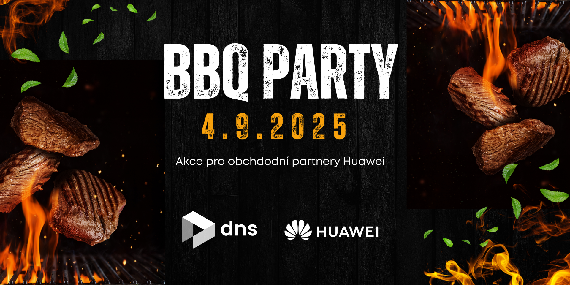 BBQ party Huawei & DNS